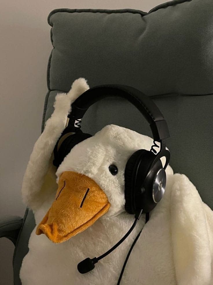 Ducks