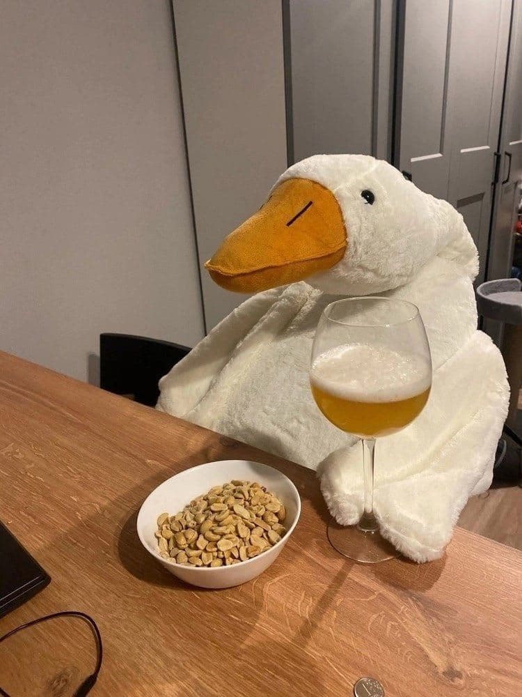 Duckss
