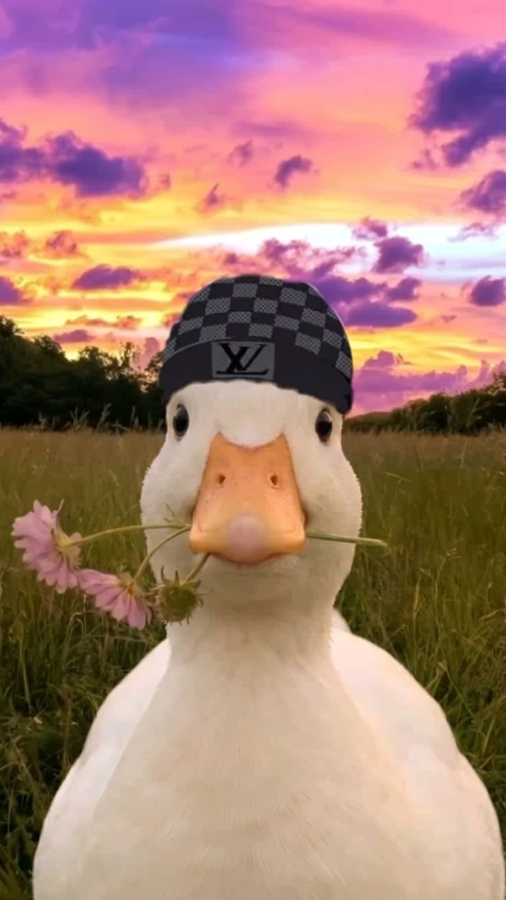I duck you🥀